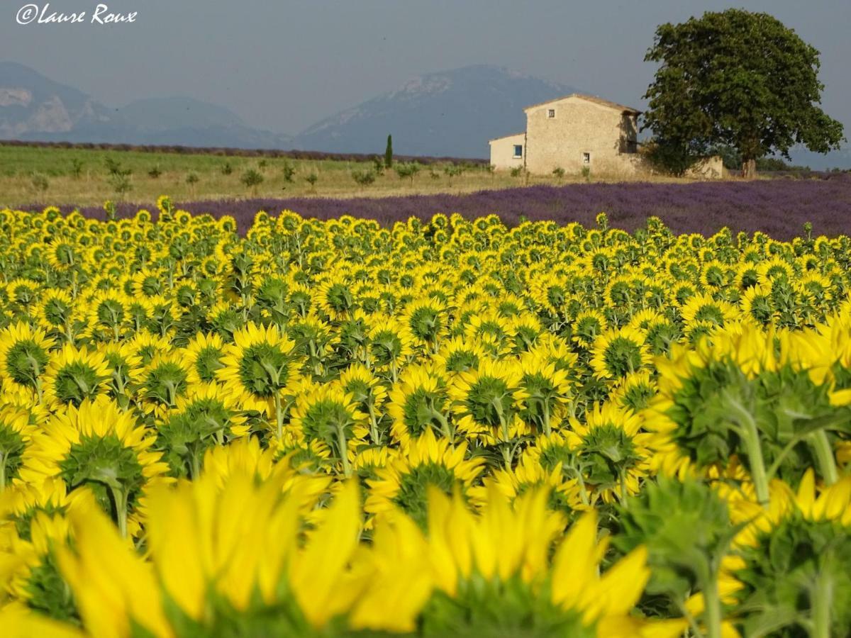 Bed and Breakfast Les Secrets Du Mistral Valensole Exteriér fotografie